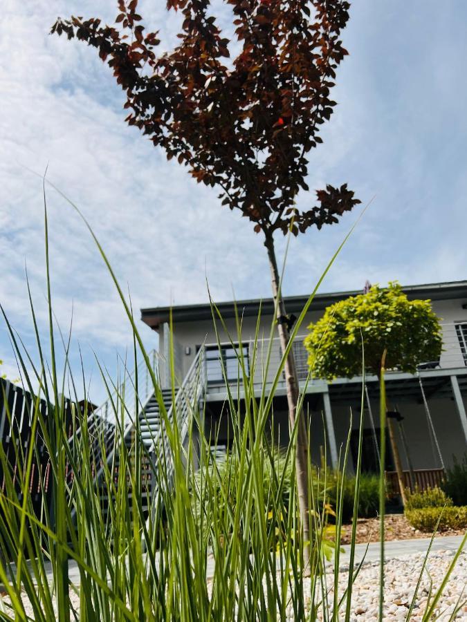 Apartmany Benesov Benesov nad Ploucnici Eksteriør billede